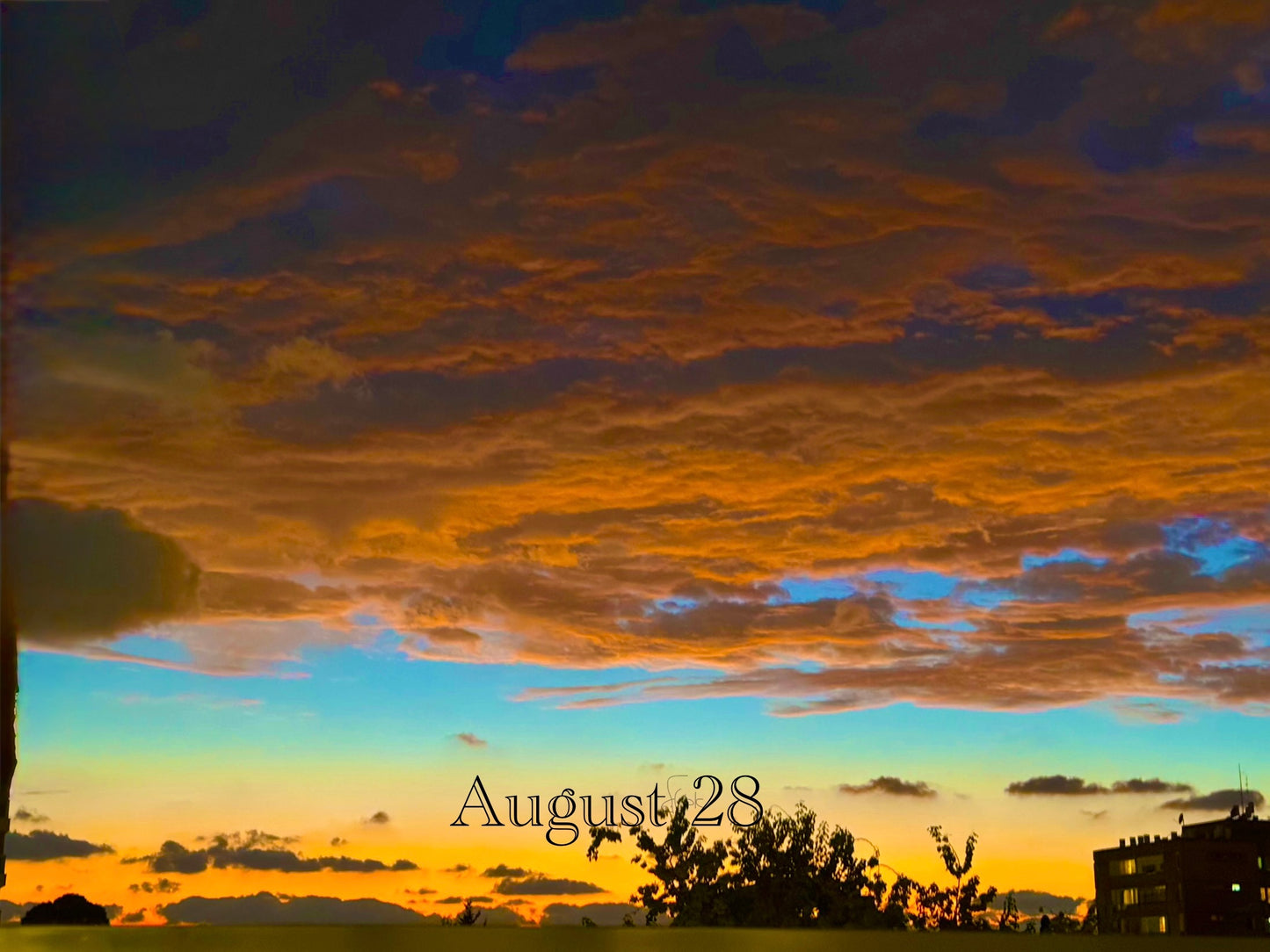 August 28