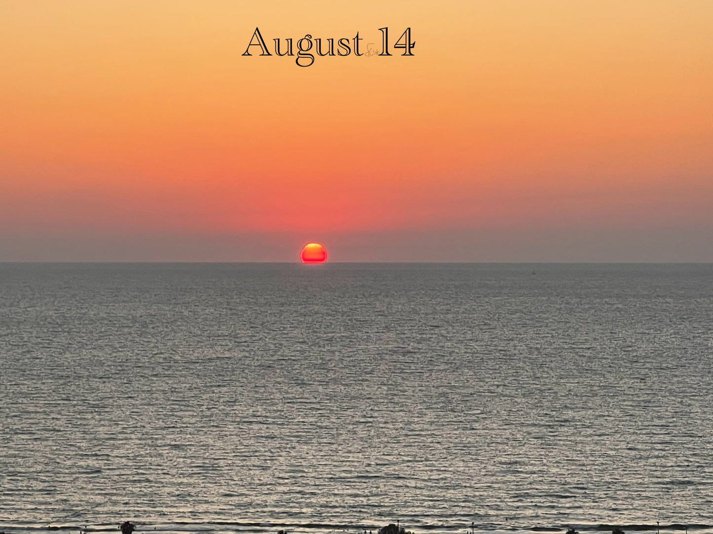 August 14