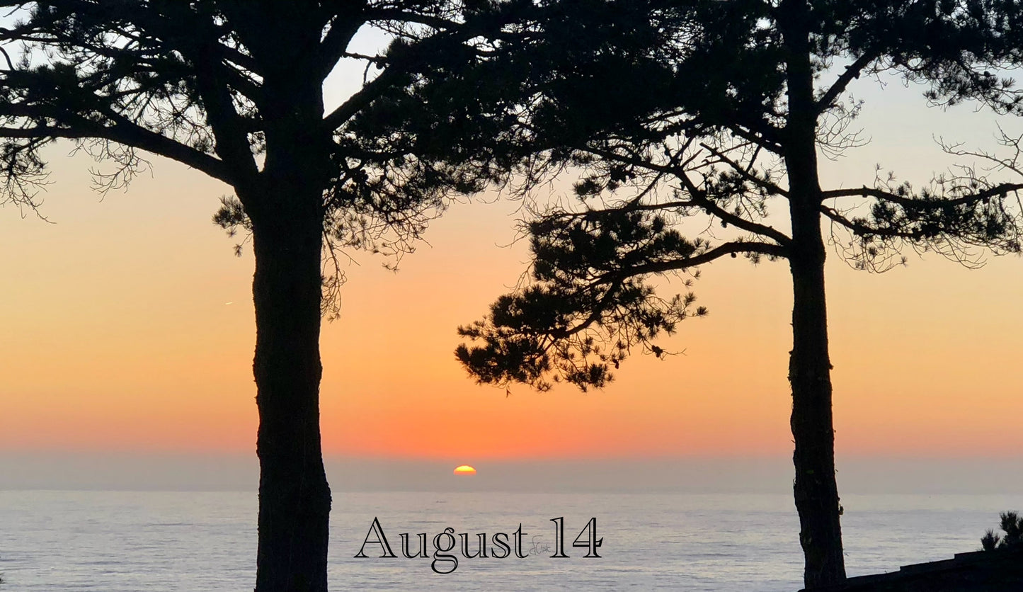 August 14