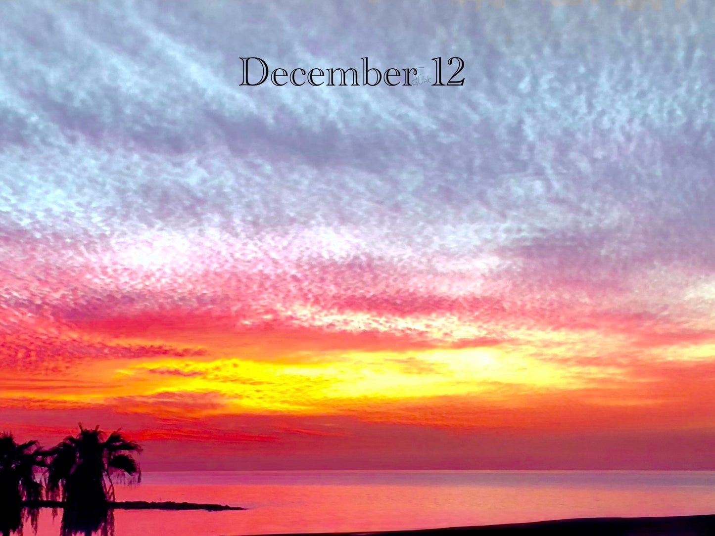 December 12