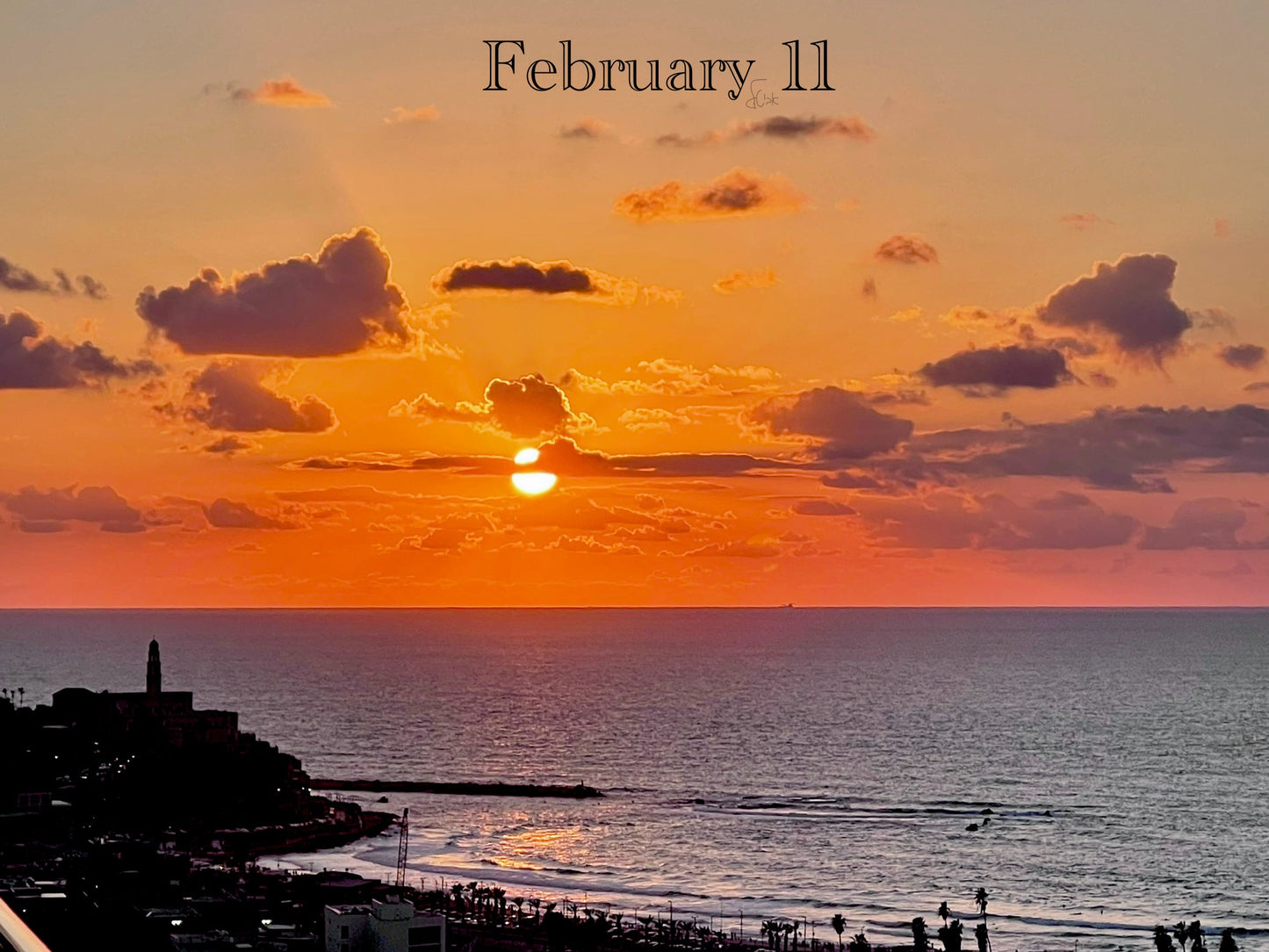 February 11