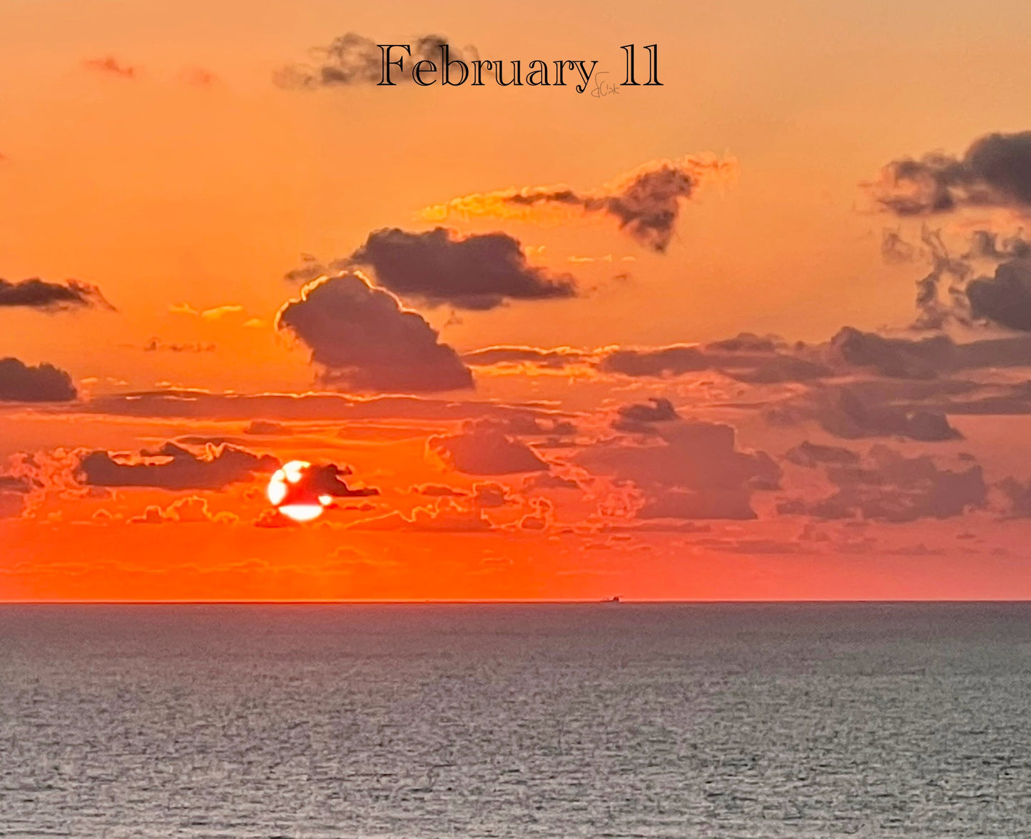February 11