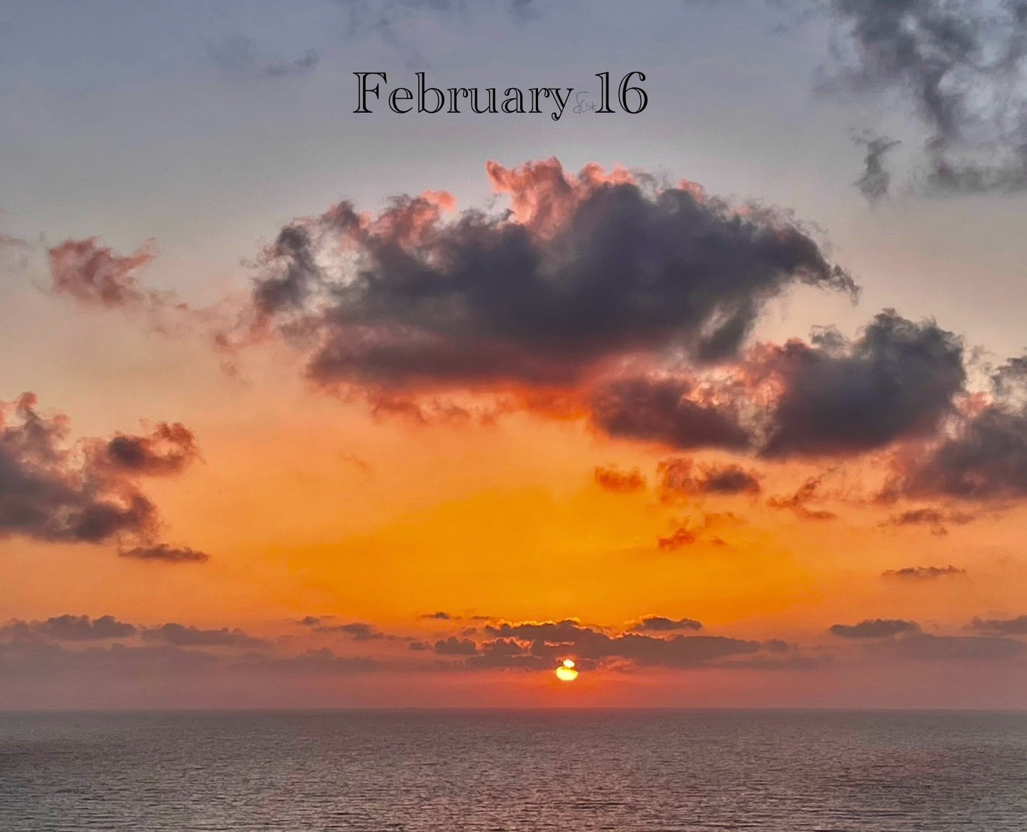 February 16