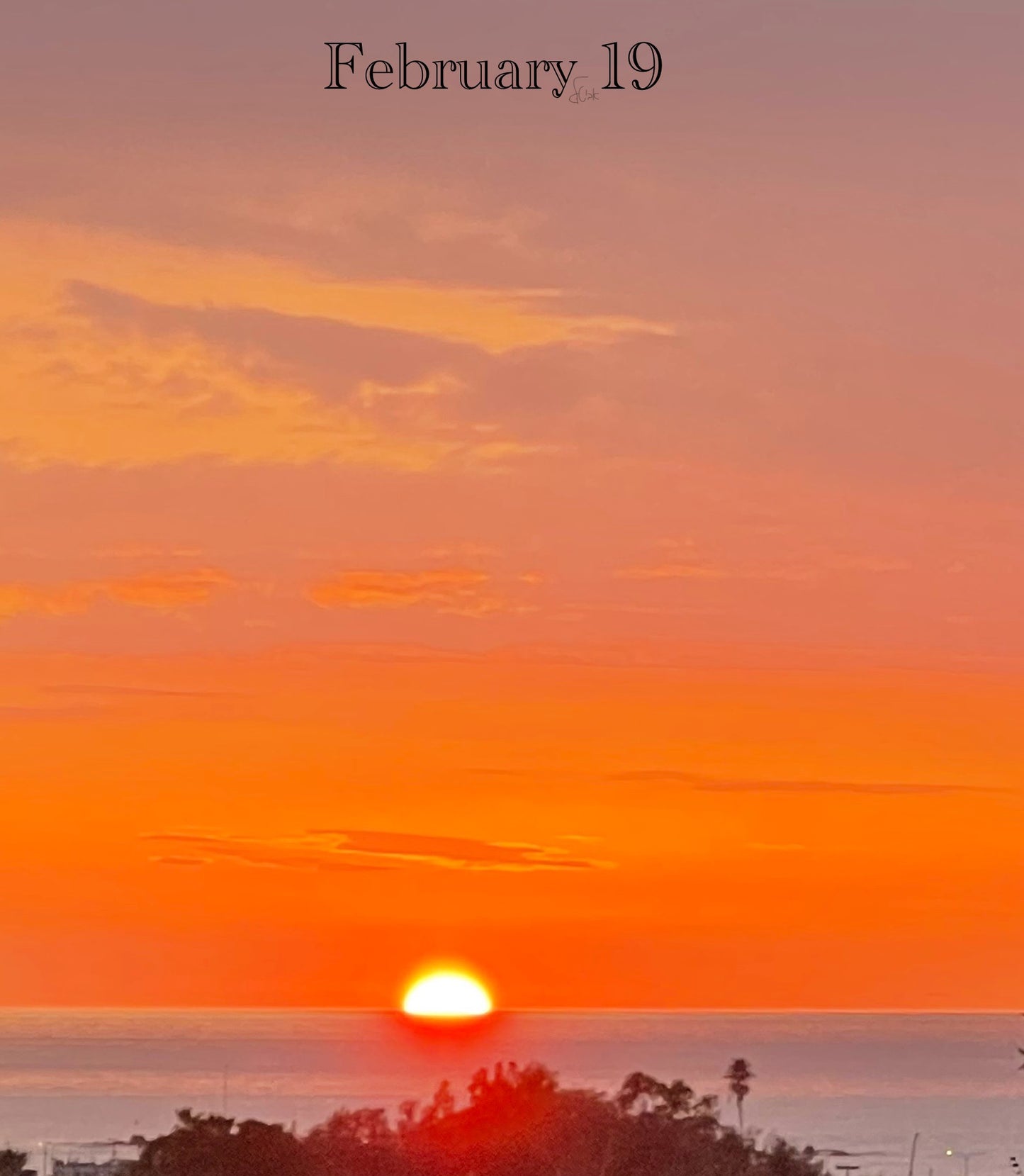 February 19