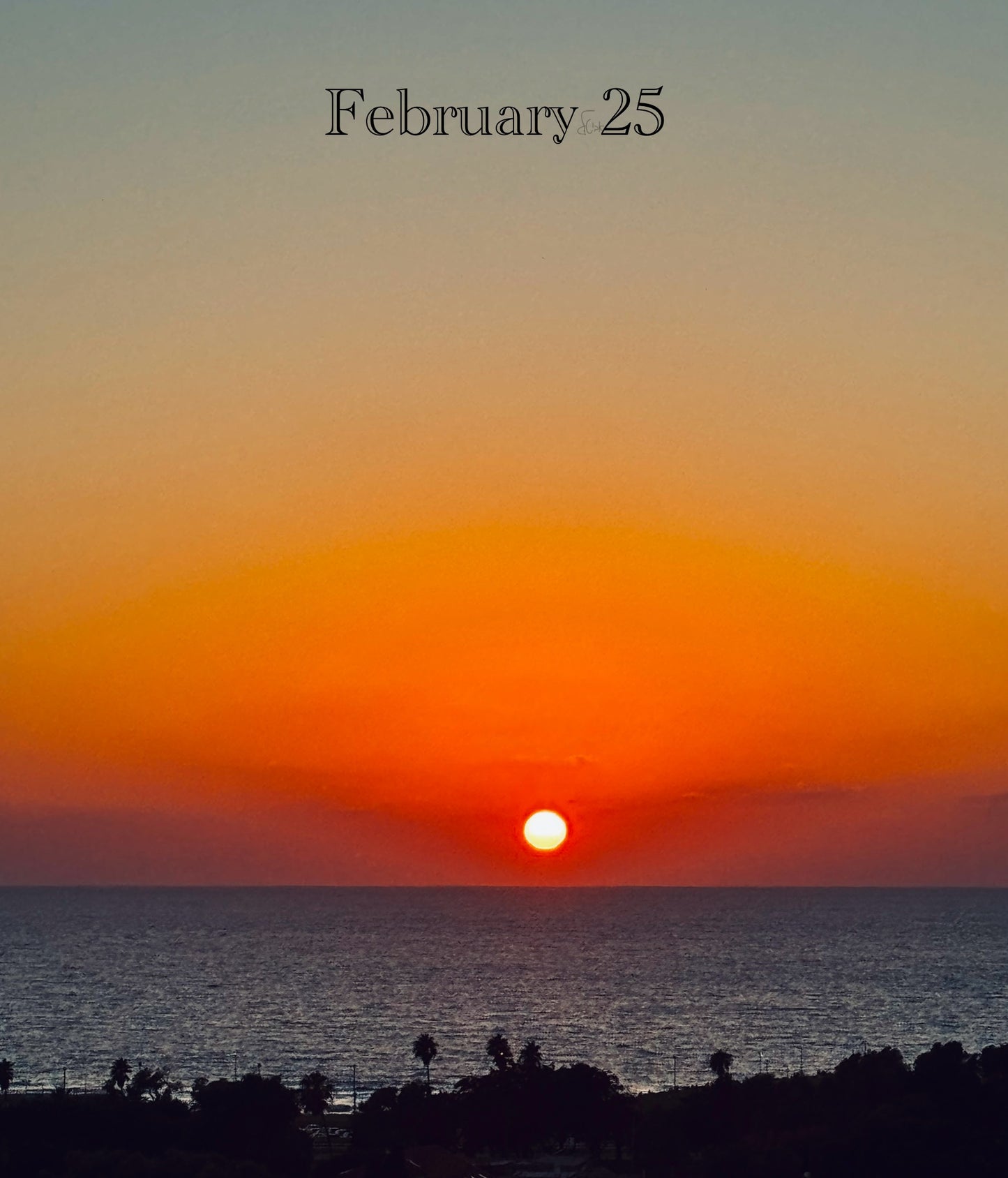 February 25