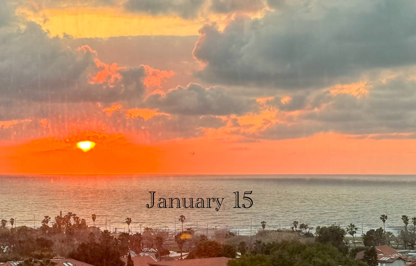 January 15