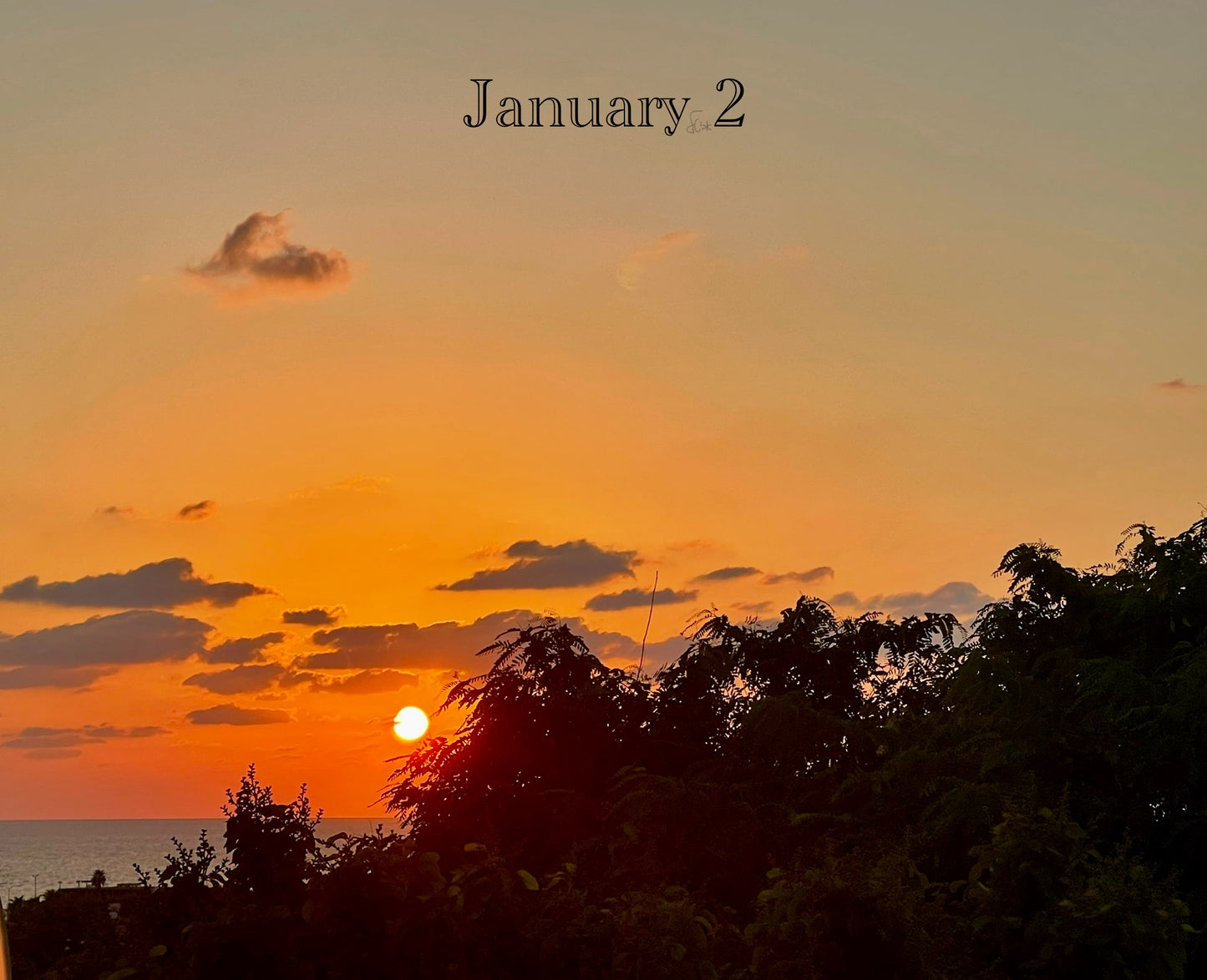 January 2