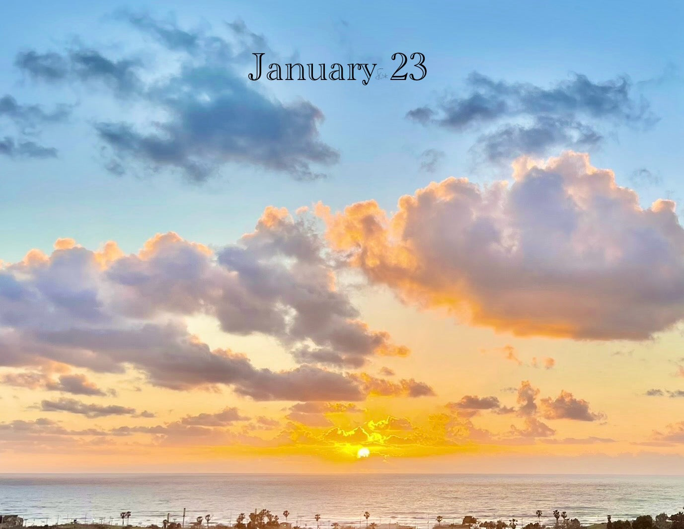 January 23