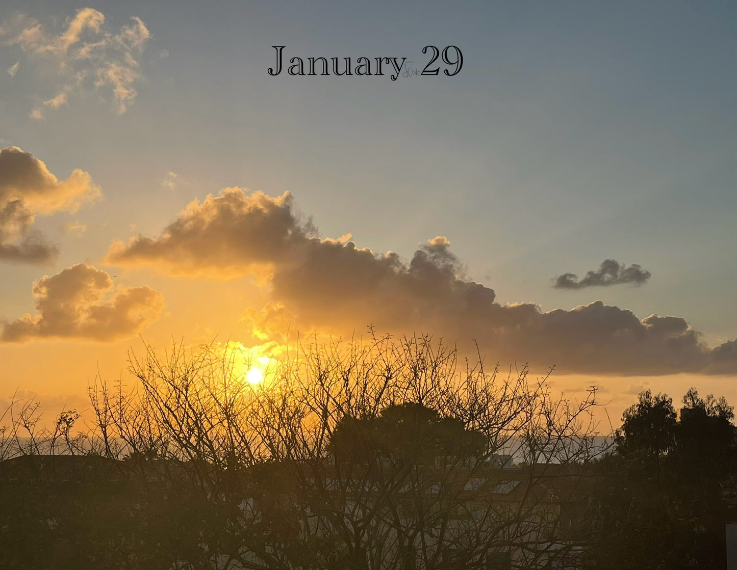 January 29