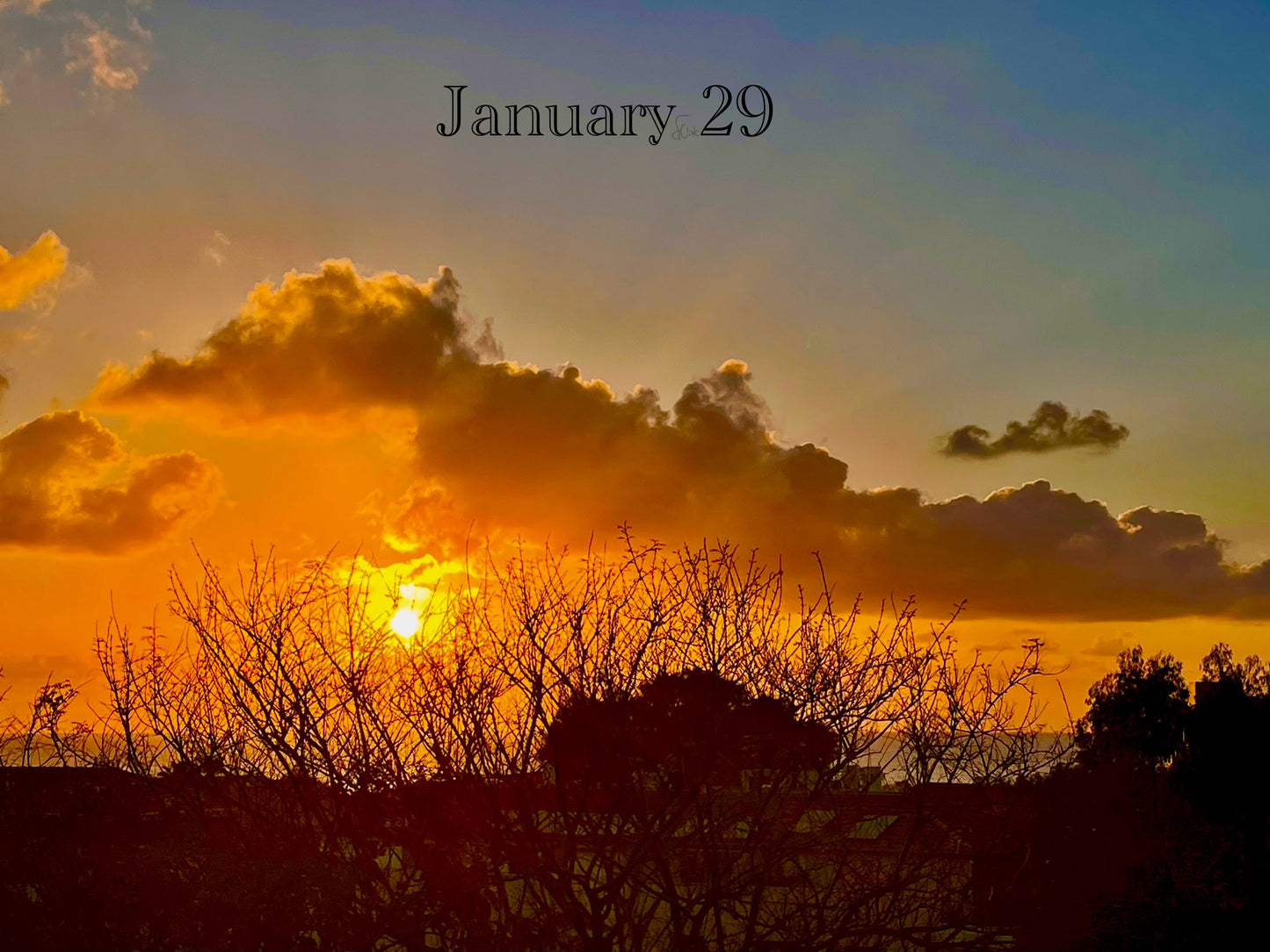 January 29