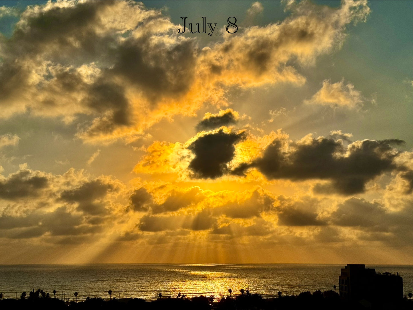 July 8
