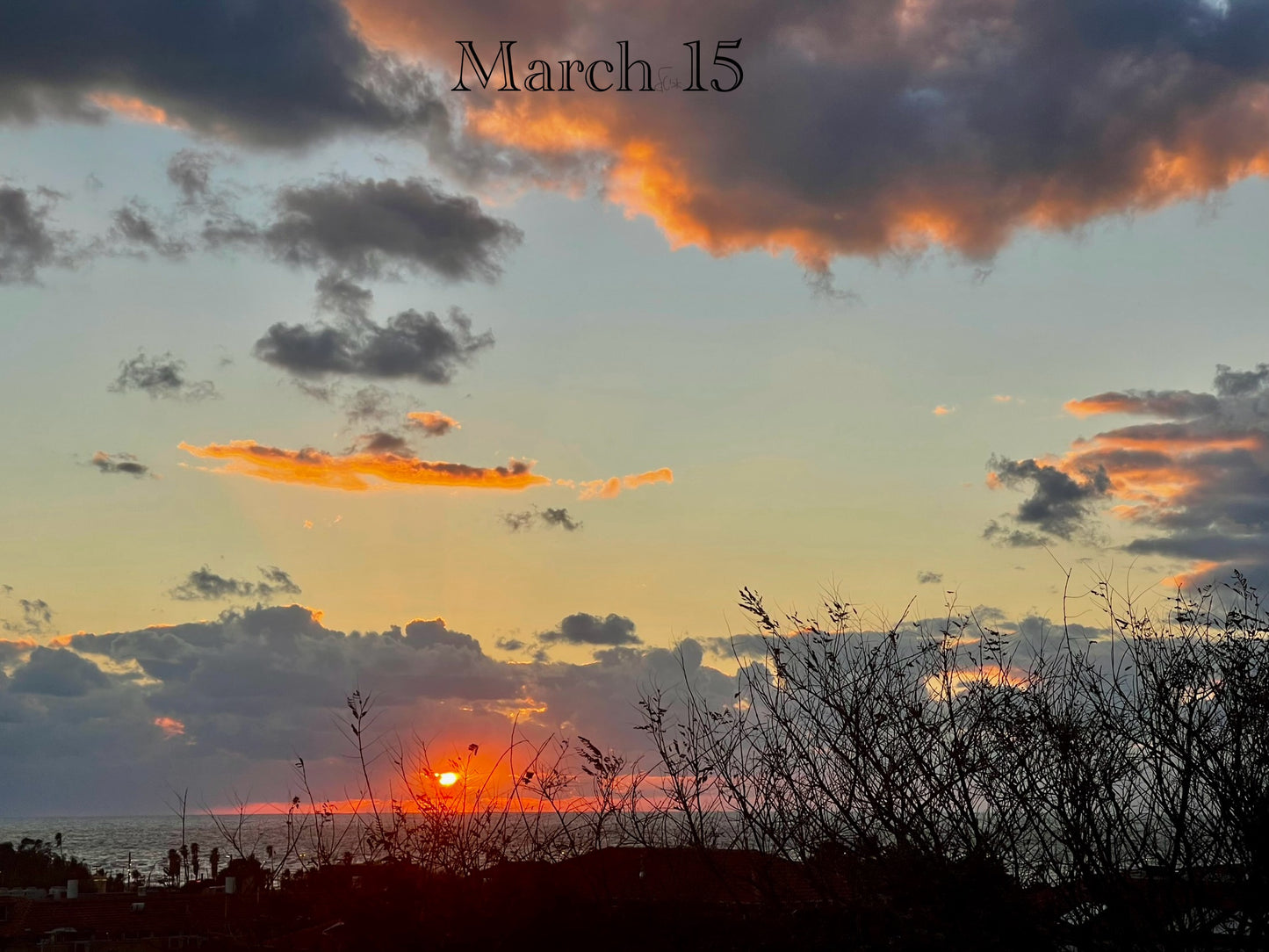 March 15