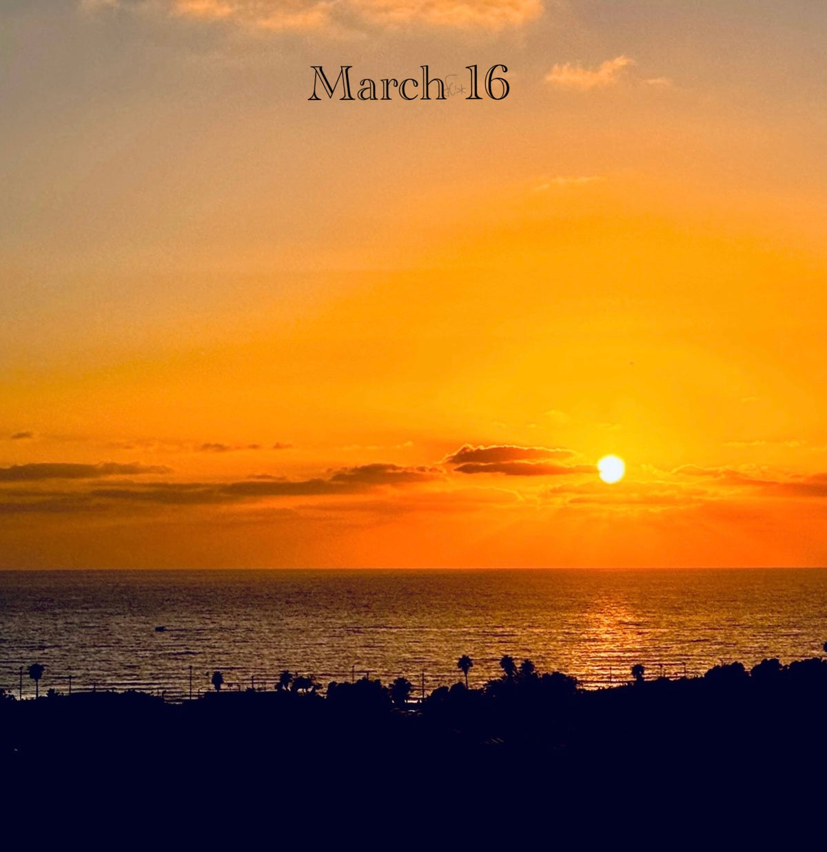 March 16