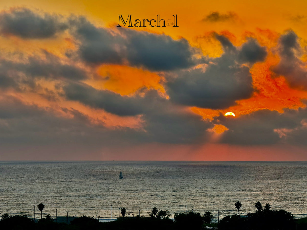 March 1