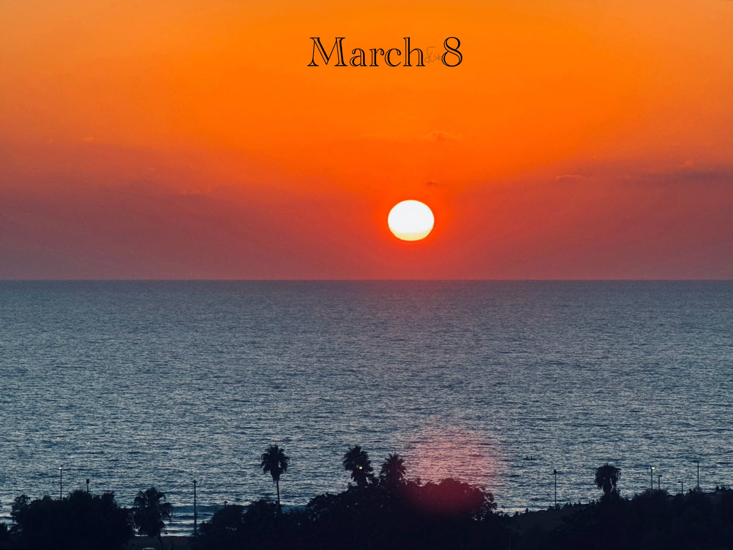 March 8
