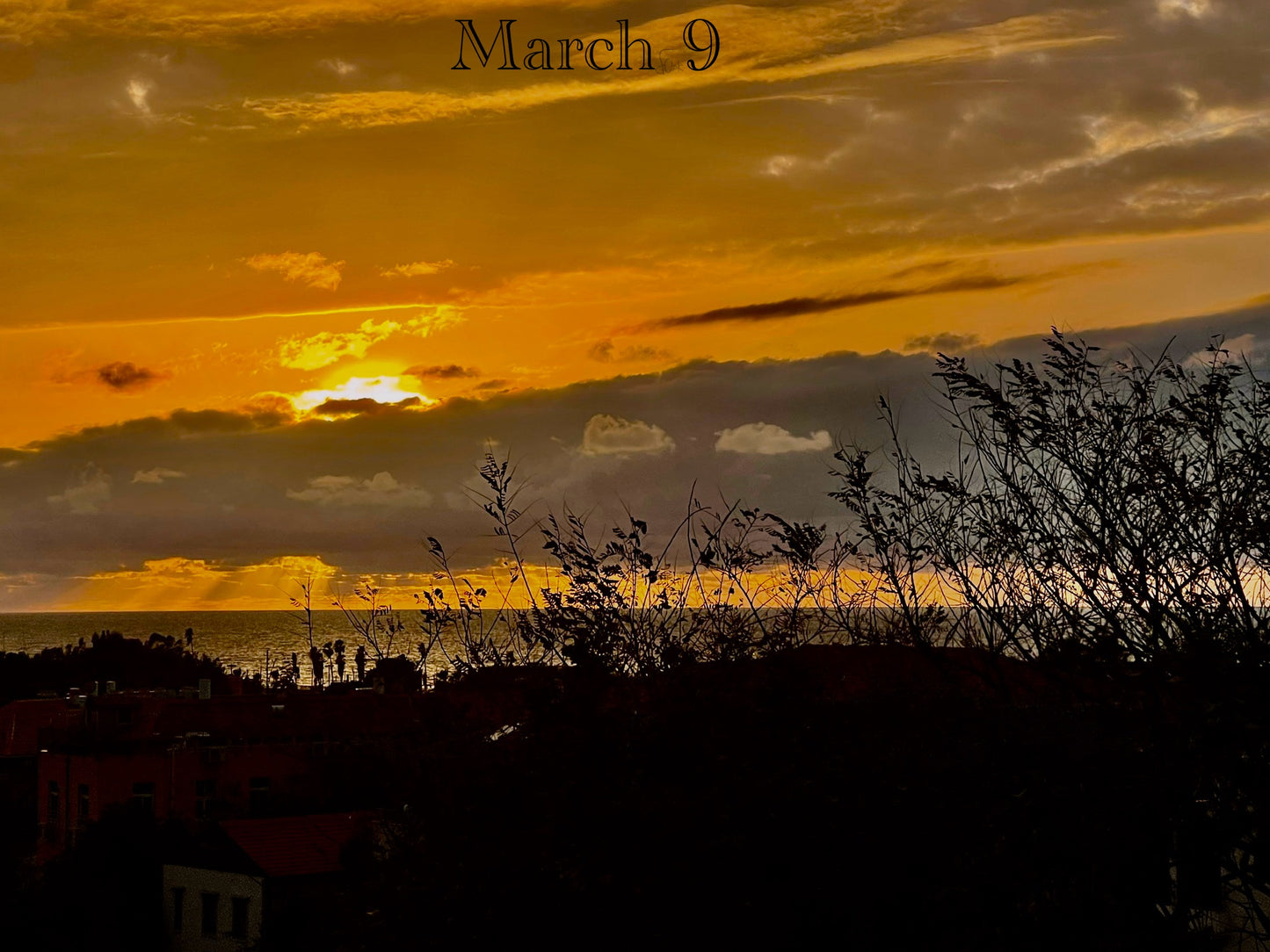 March 9
