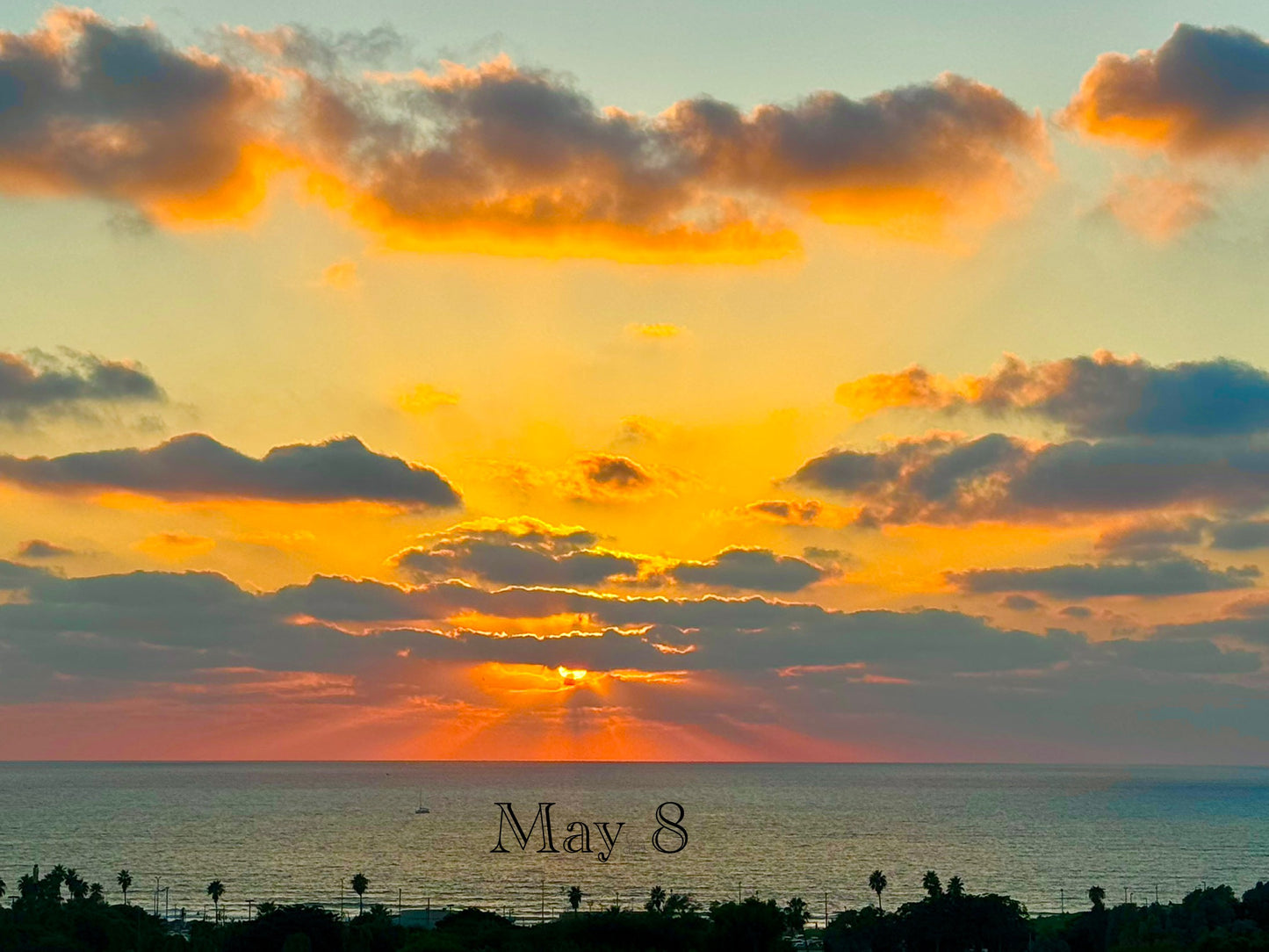 May 8