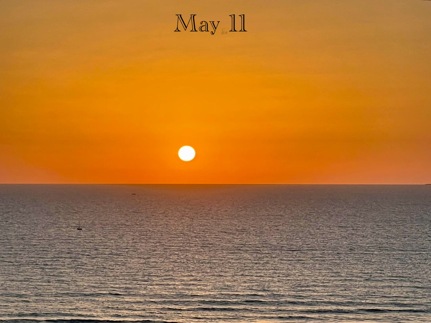 May 11