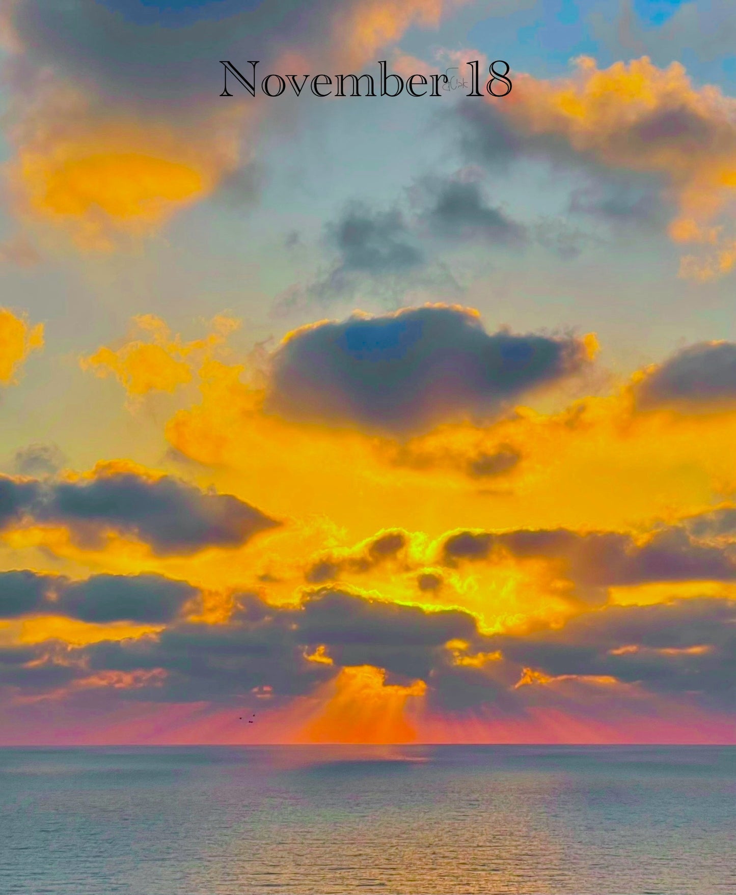 November 18