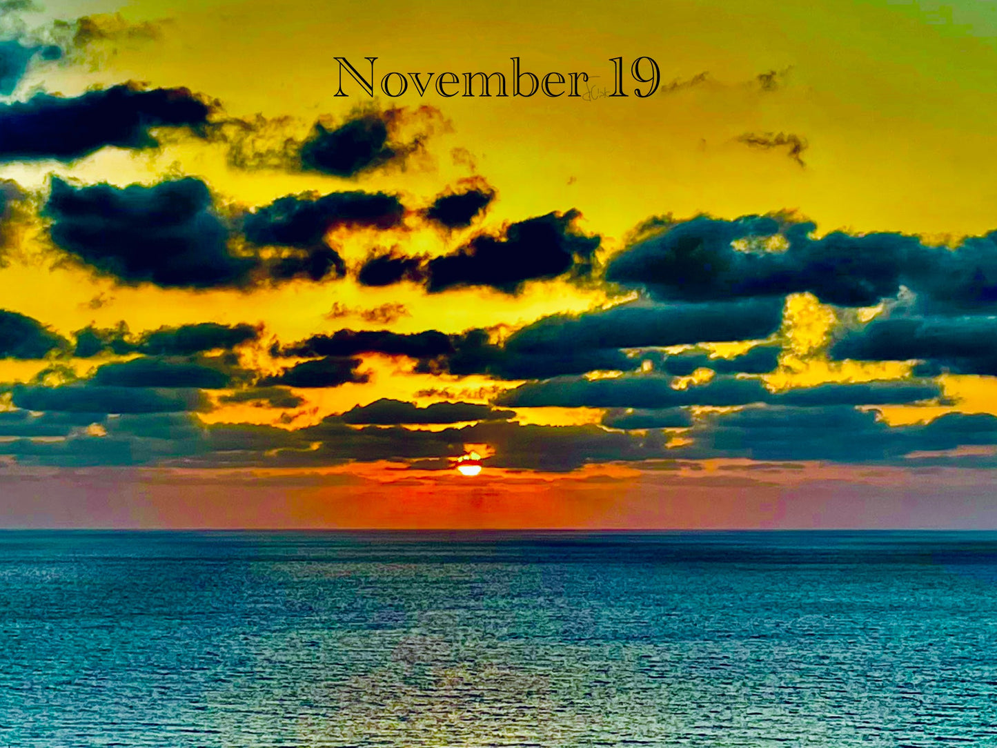 November 19