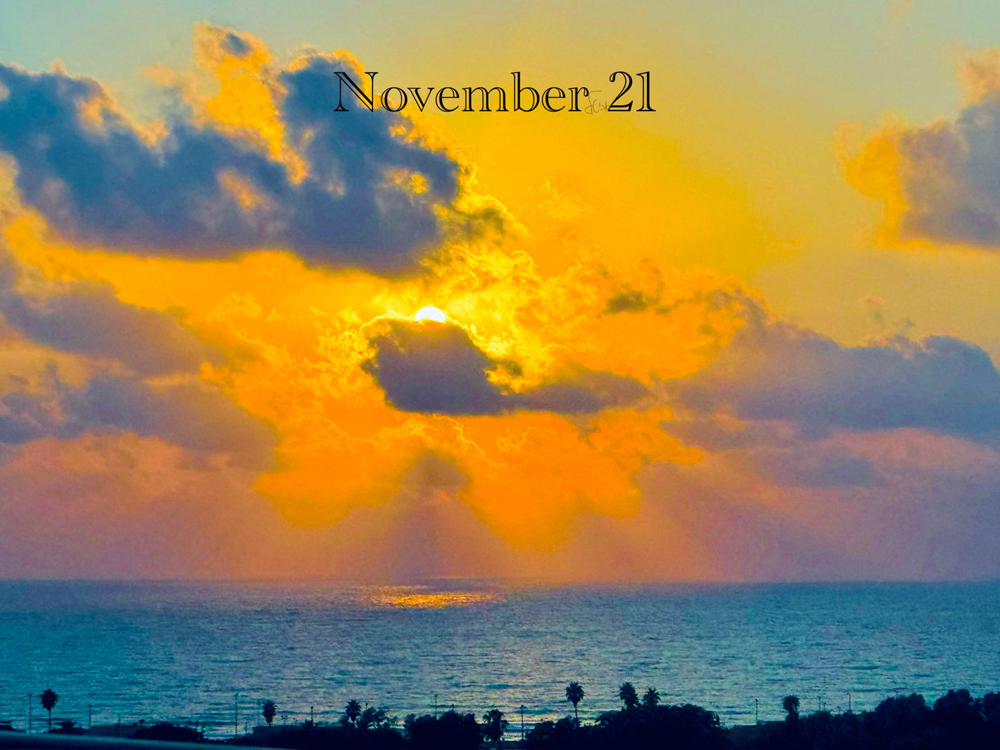 November 21
