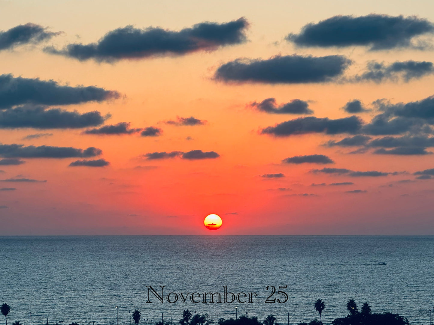 November 25