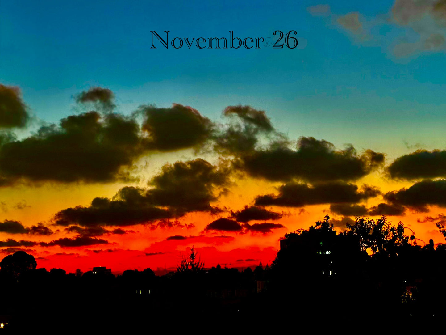 November 26