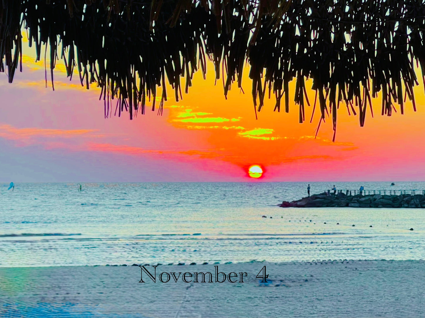November 4