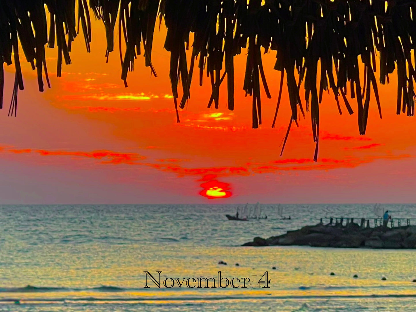 November 4