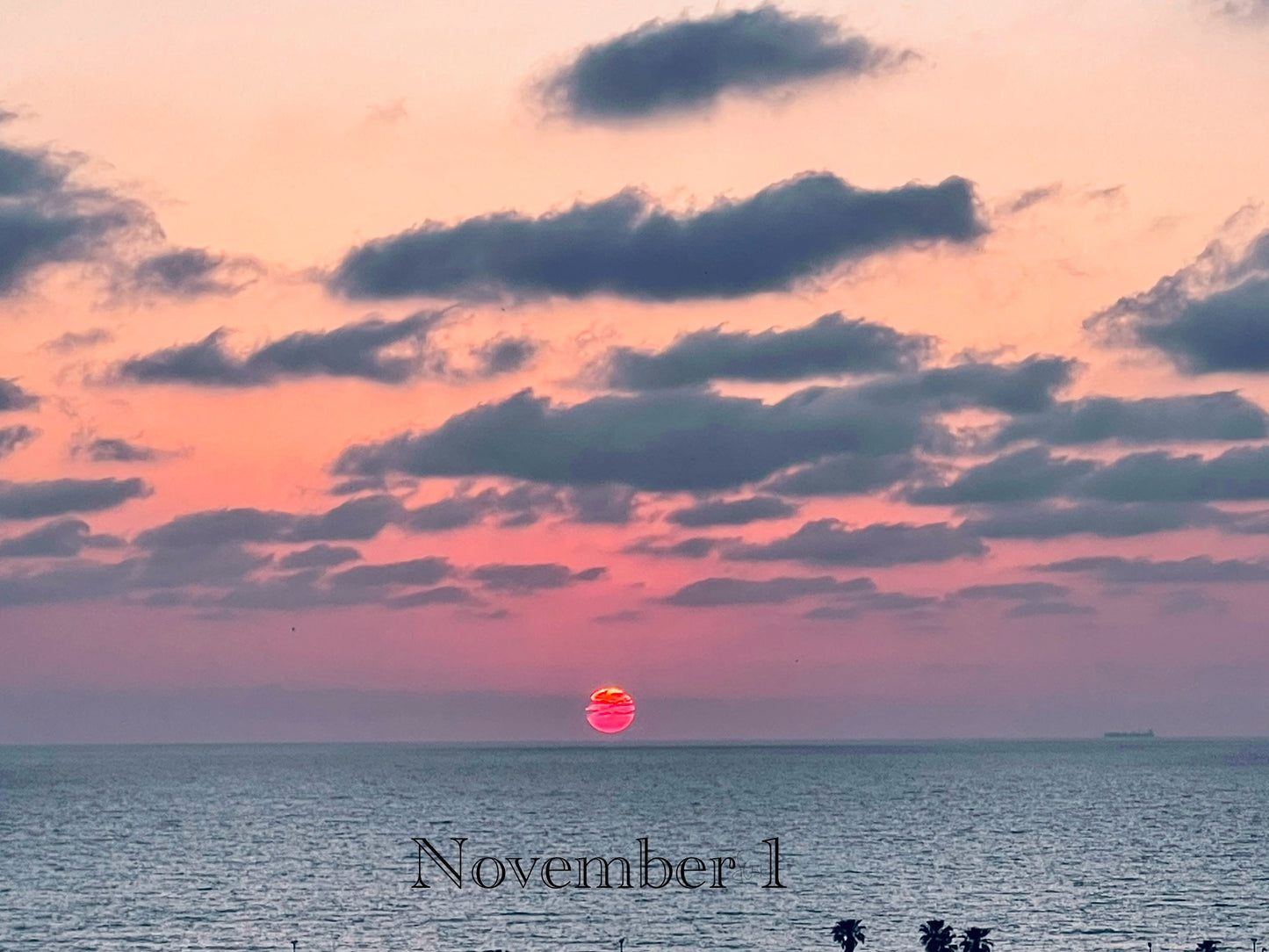 November 1