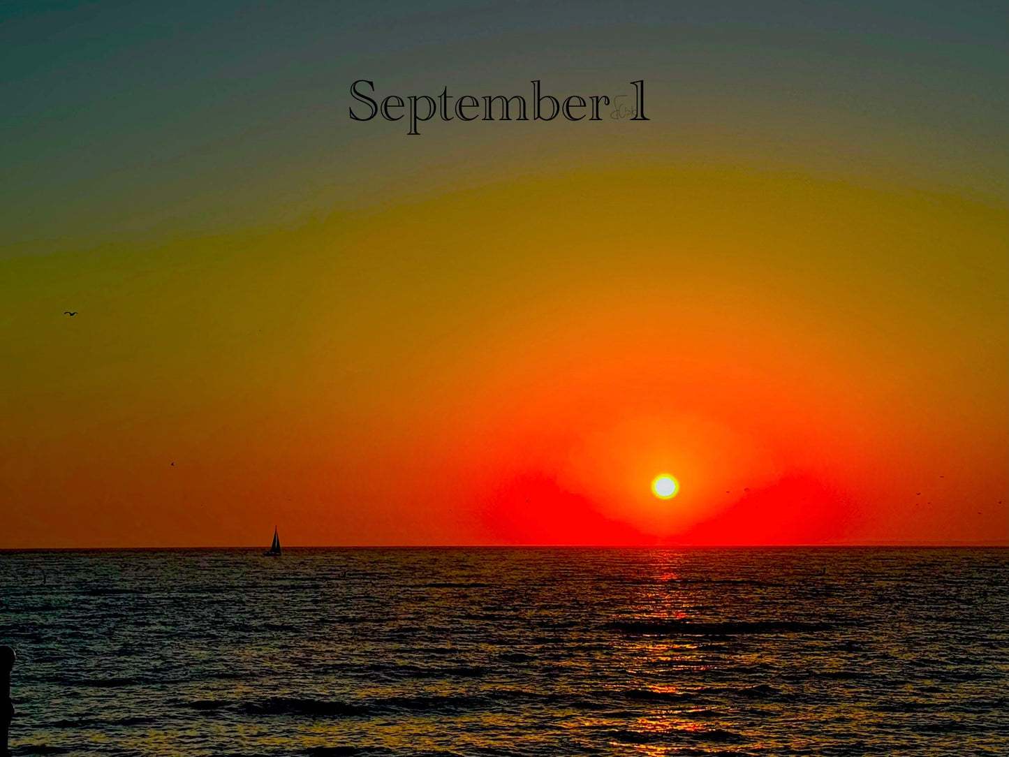 September 1