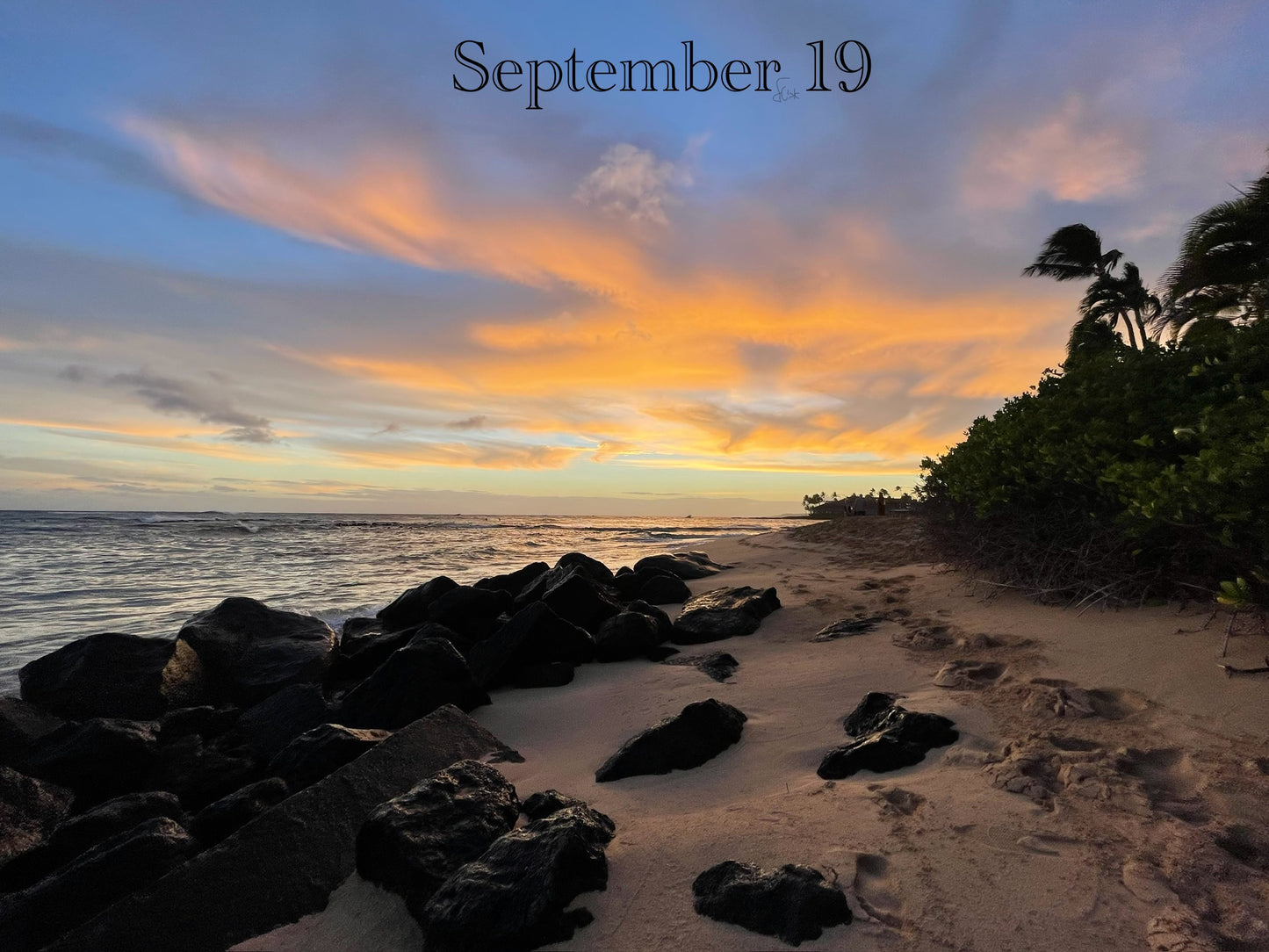 September 19