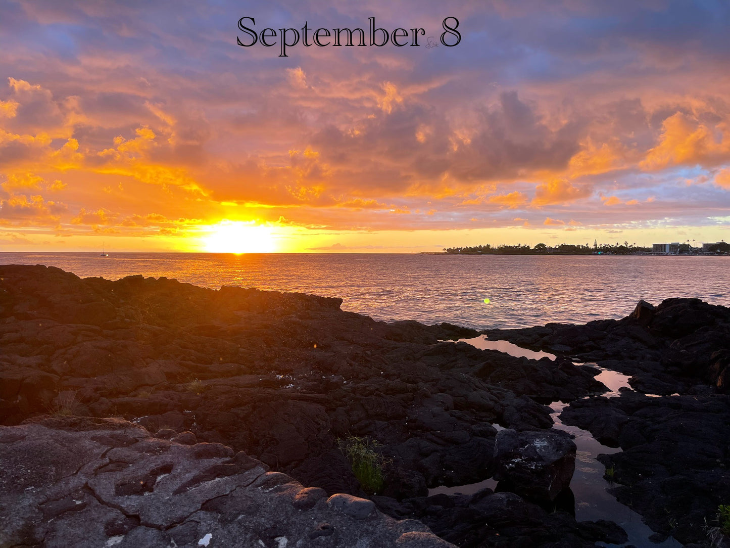 September 8