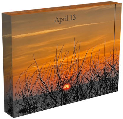 April 13 - Sunset 1/2