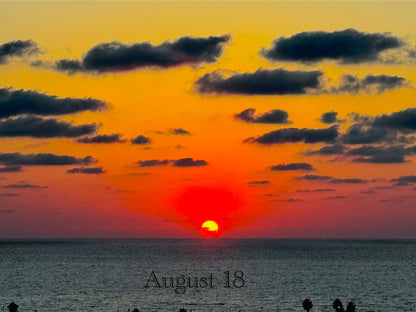 August 18