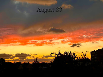 August 28