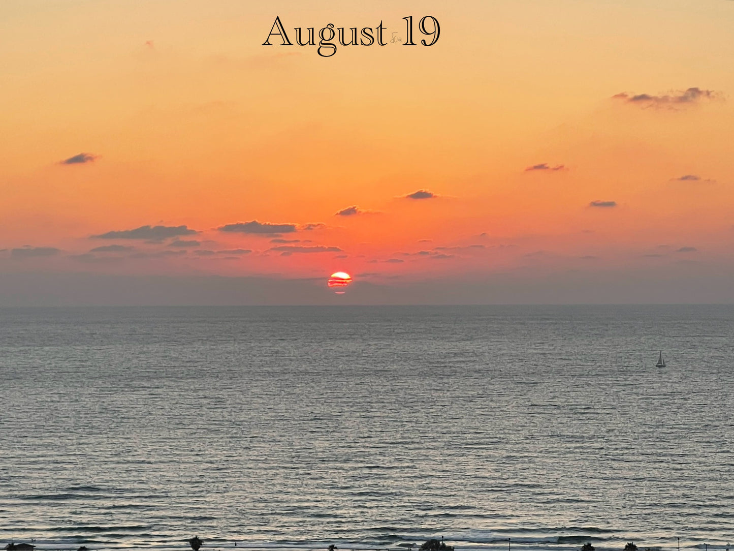 August 19 - V1