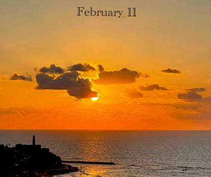 February 11 - V1
