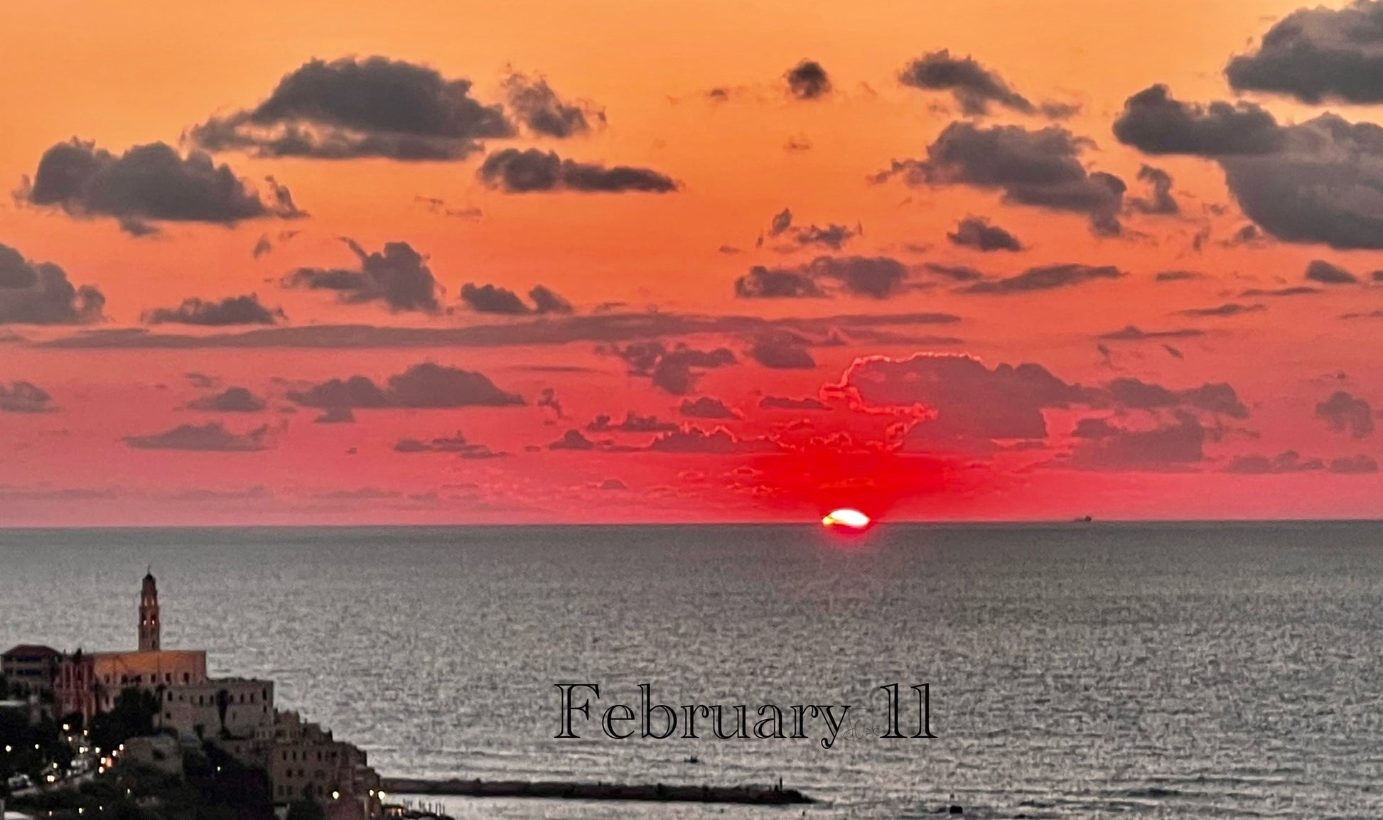 February 11