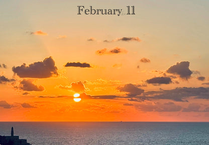 February 11