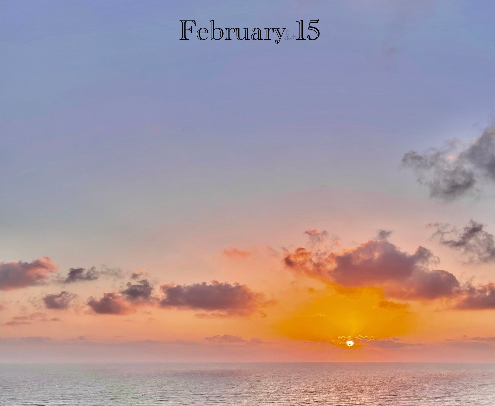 February 15