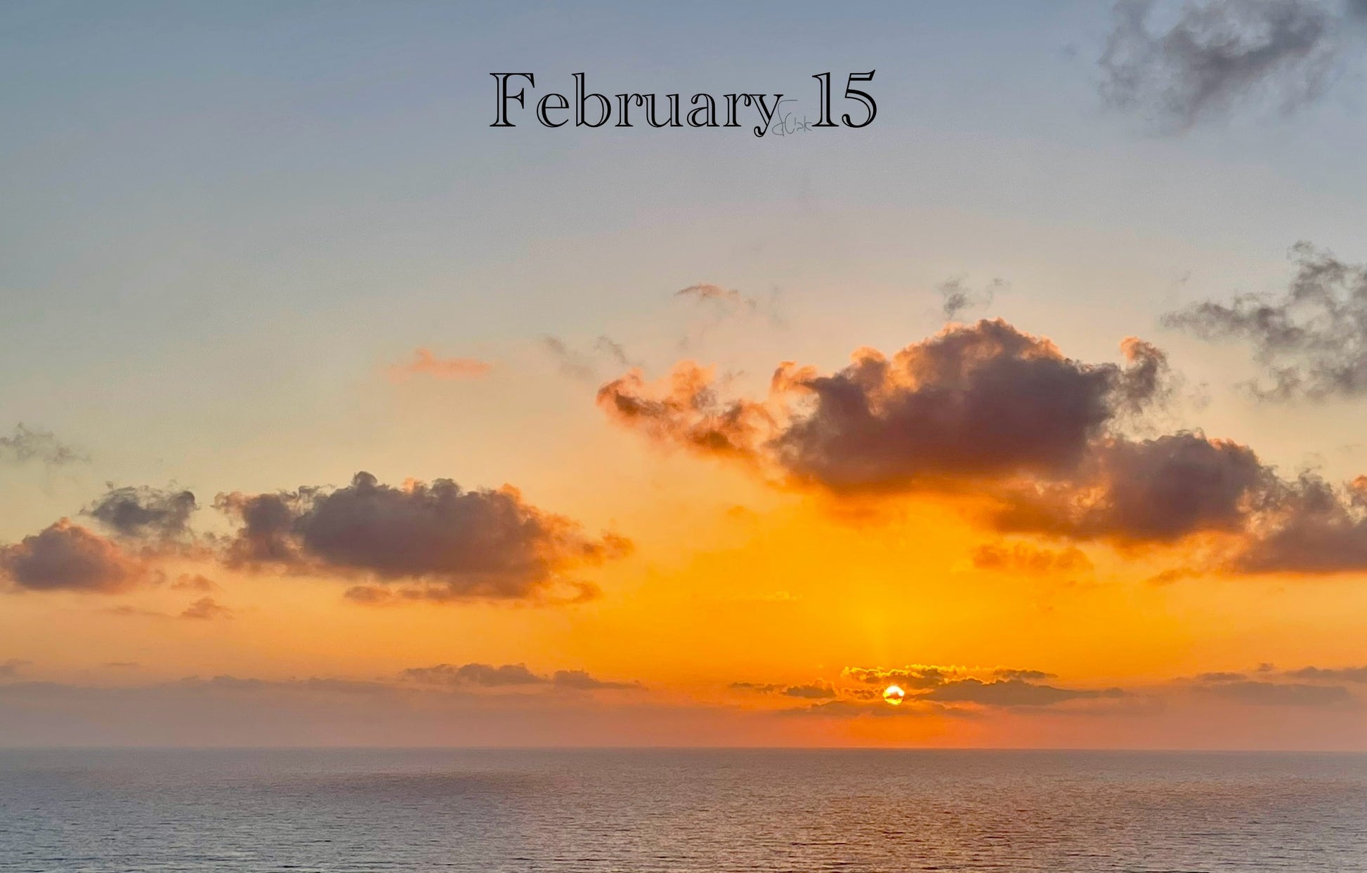 February 15