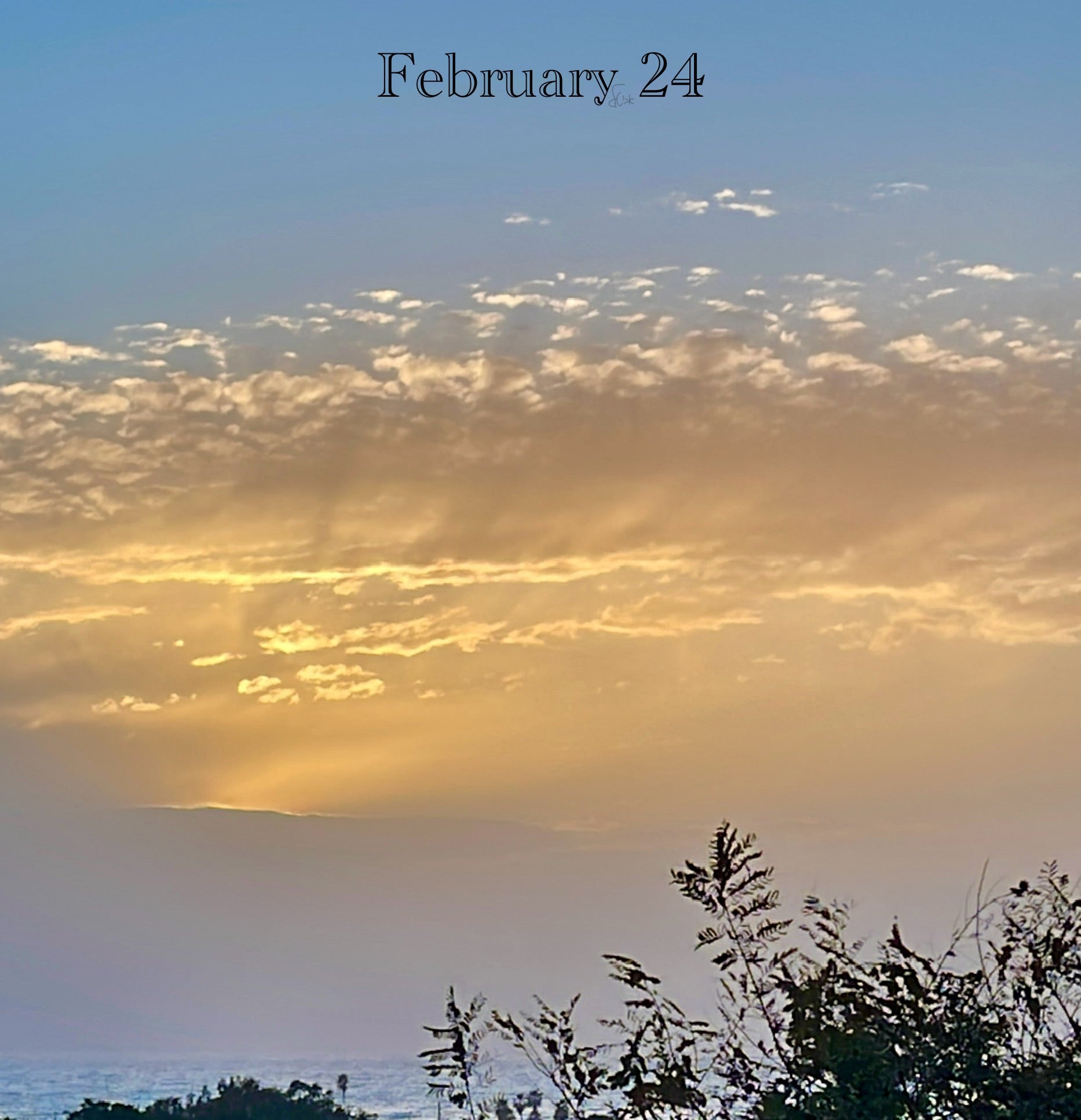 February 24