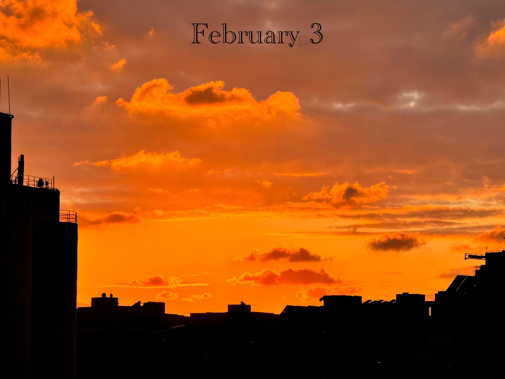 February 3