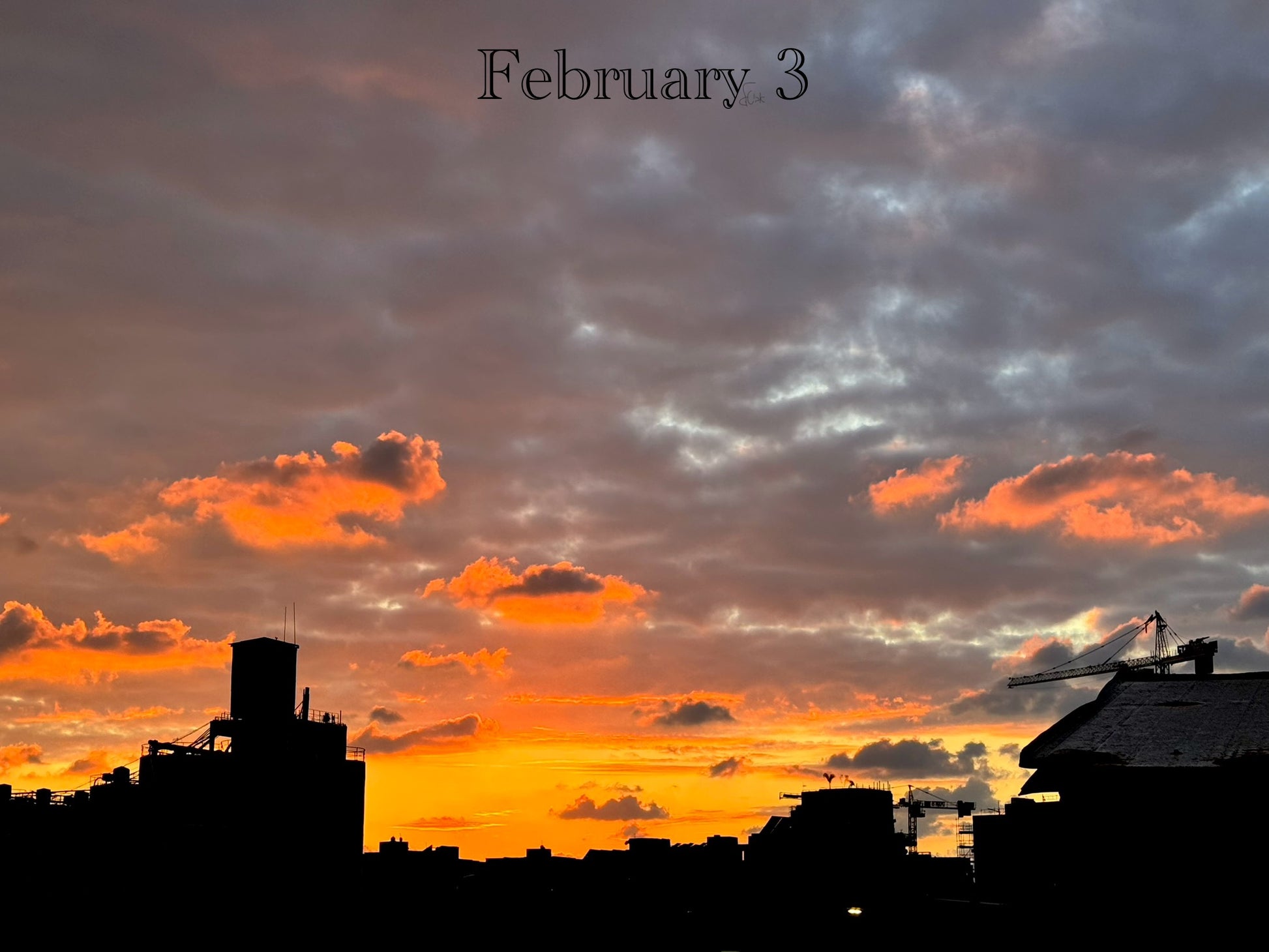 February 3