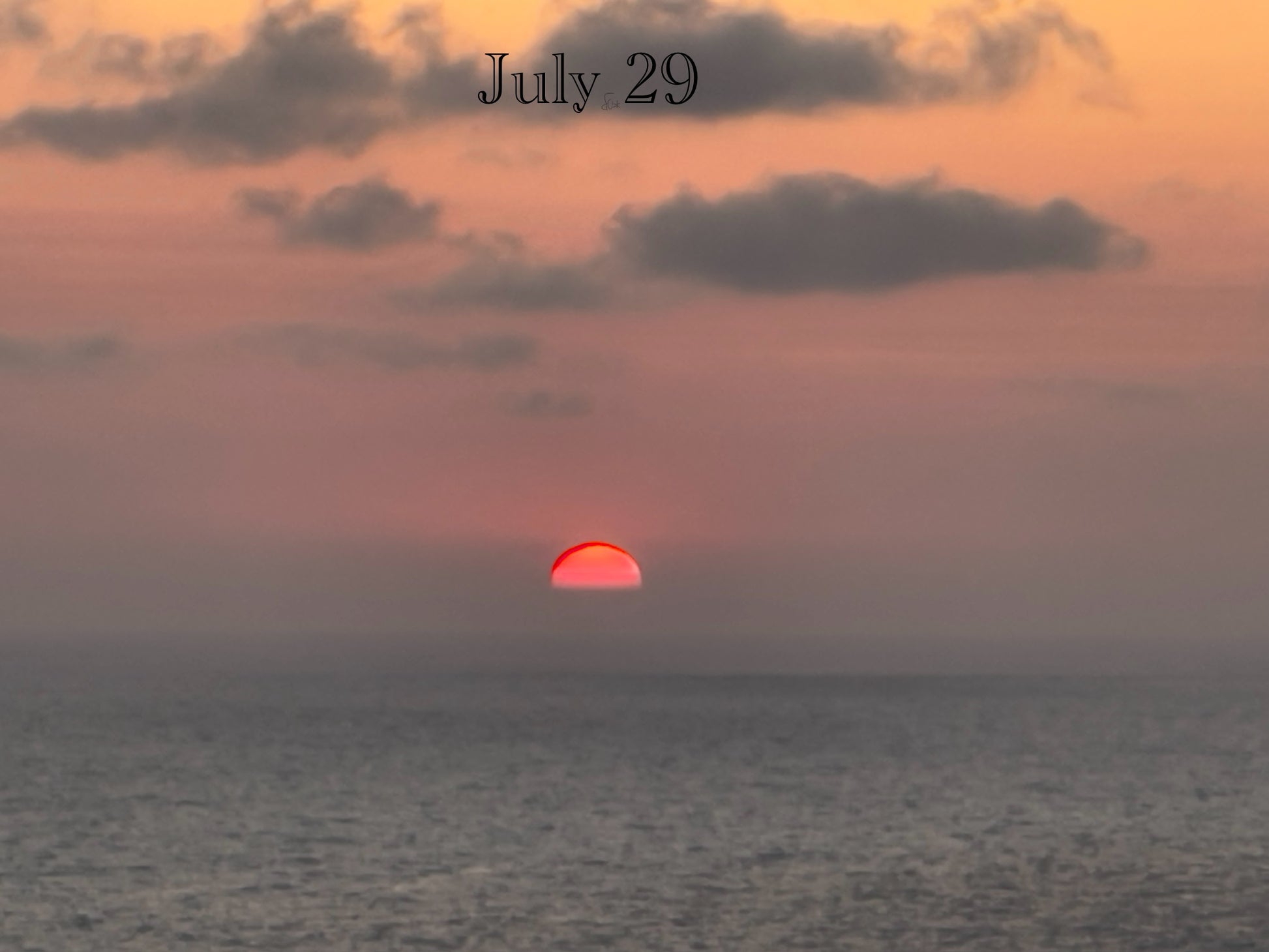 July 29