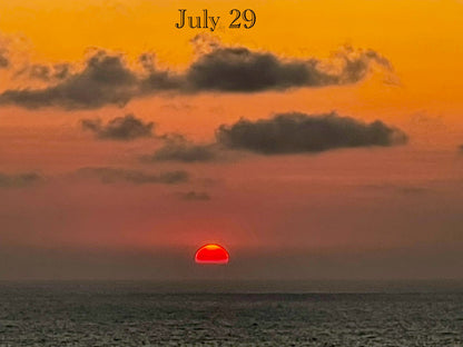 July 29