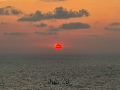 July 29