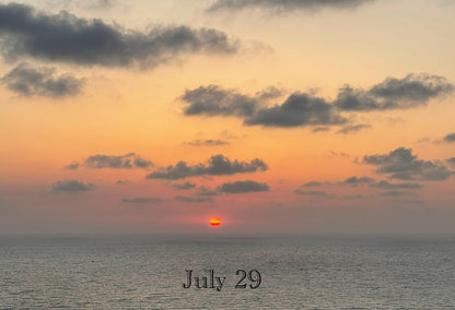 July 29