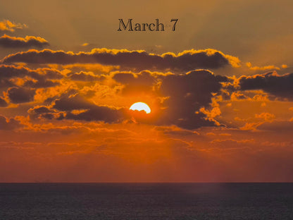 March 7